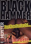Der Rosettenteufel ... (Mike Hunter - Black Hammer)
