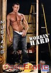 Workin' Hard (Mustang)
