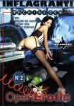 Machine Sex No 02 (Inflagranti - II)