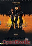 Sex Angels (2er DVD) (Private)