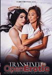 Transfixed - Morning Pleasures (Adult Time) Transfixed - Morning Pleasures (Adult Time)