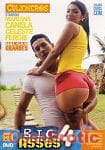 Big Asses Vol. 4 (BangBros - Culioneros) Big Asses Vol. 4 (BangBros - Culioneros)