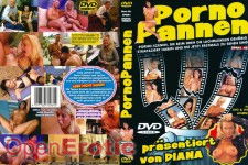 Porno Pannen