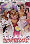 Trans Slumber Party (Devils Film)