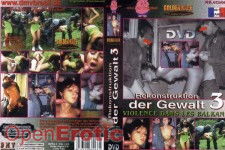 Reconstruction of Violence 3