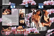 Black Orchid