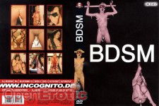 BDSM