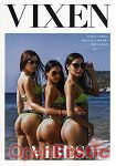 Vibes Vol. 4 (Jules Jordan Video - Vixen) Vibes Vol. 4 (Jules Jordan Video - Vixen)