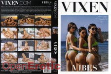 Vibes Vol. 4