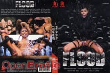 Flood