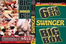 Big Box Swinger - 6 Stunden