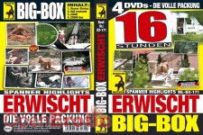 Big-Box - Erwischt - 16 Stunden