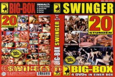 Big-Box - Swinger - 20 Stunden - 4 DVDs