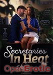 Secretaries in Heat - over 2 Hours (New Sensations) Secretaries in Heat - over 2 Hours (New Sensations)