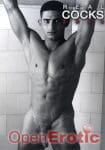 Real Cocks Kalender 2026 (Orion) Real Cocks Kalender 2026 (Orion)