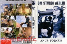 Anus Porcus