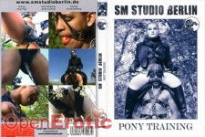 Pony Training